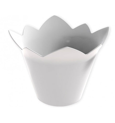 Finger food Waterlily 70 cc 25 pz