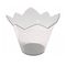 FINGER FOOD WATERLILY 70cc. TRASPARENTE 25pz